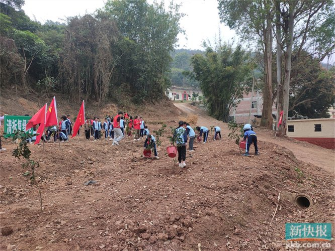 云浮市郁南县宋桂镇:师生同植树 为和美乡村添绿__财经头条