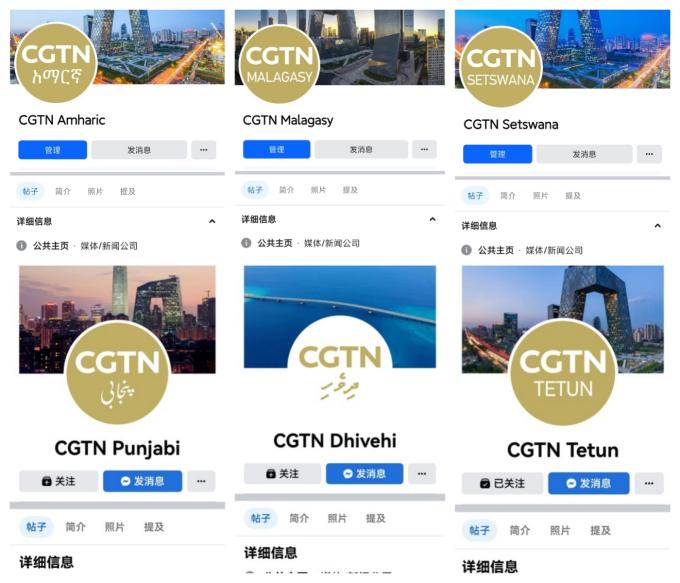 中央广播电视总台新增12个海外传播语种|广播电视|语种|总台_新浪新闻