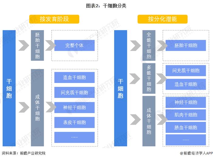 新质生产力系列赛道干细胞产业技术趋势报告2024版发布