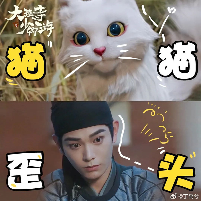发现了一些猫系男主的致命吸引力|猫咪|丁禹兮_新浪新闻