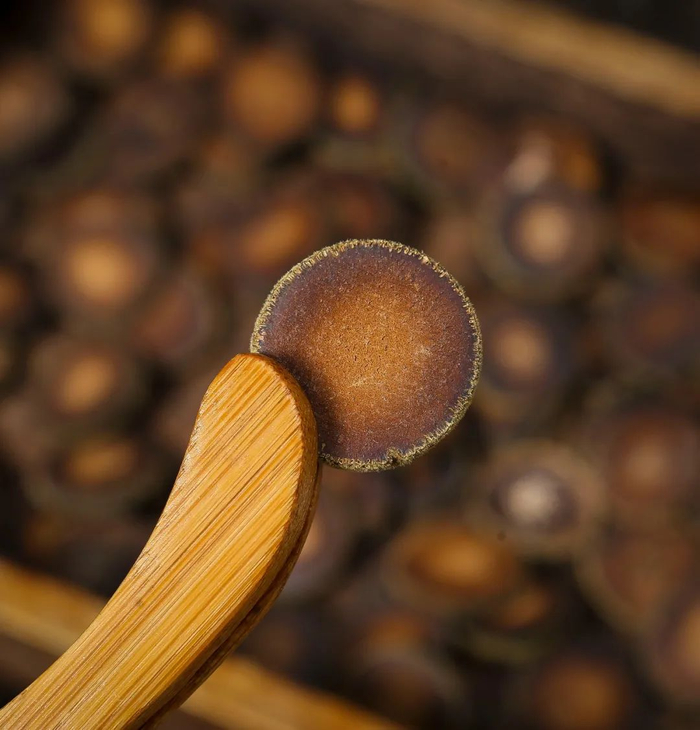 广佛手,广陈皮等是广东茂名化州特产化橘红广东人的"喉宝"化橘红:走到