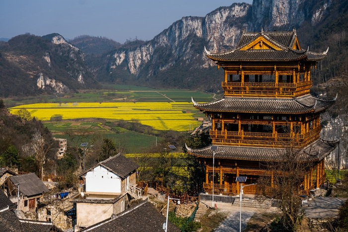 贵州织金:油菜花开春染古寨|油菜花|贵州省_新浪新闻