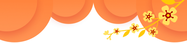 光荣榜 | 2024年泉州市,鲤城区,丰泽区三八红旗手