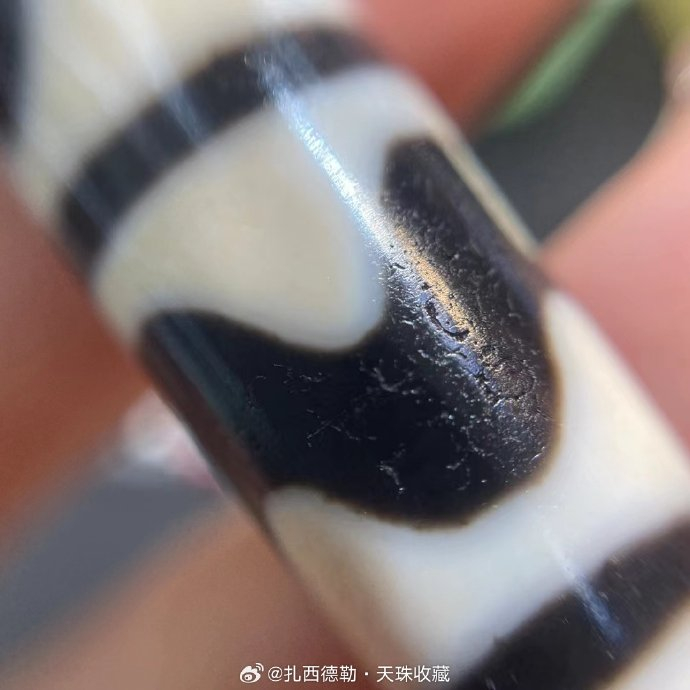 双虎牙天珠,11.5x41.