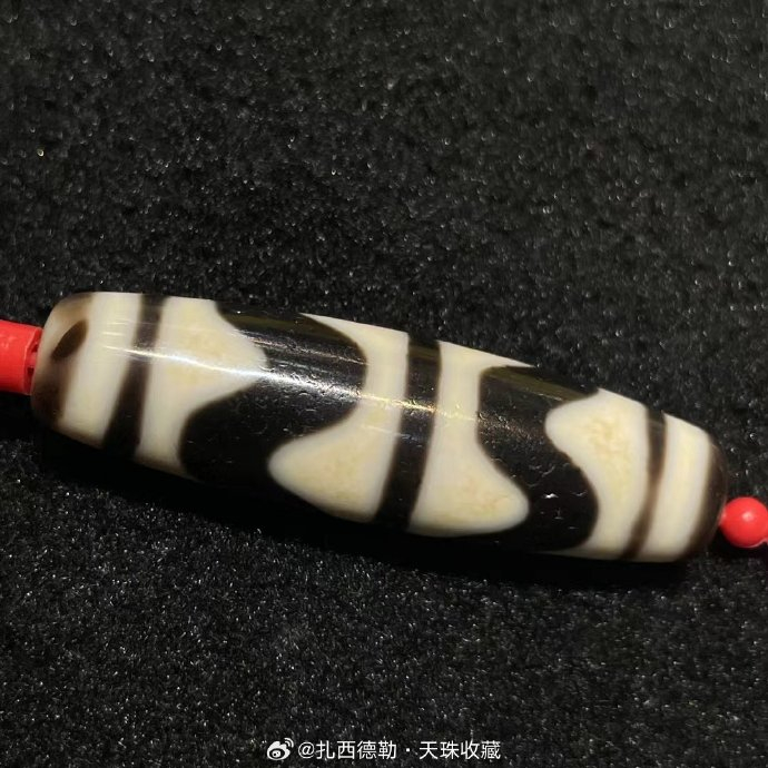 双虎牙天珠,11.5x41.