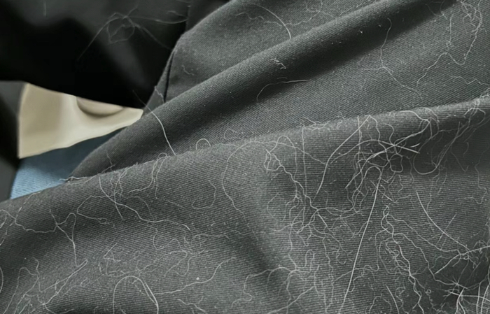 ▲图/养猫同事的日常