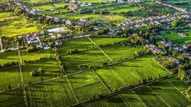 赶紧收藏!|农产品|高考|劳动力_新浪新闻