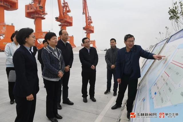 深化粤桂合作打造大湾区重要战略腹地蔡丽新来玉调研