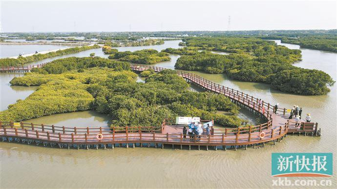 人居环境提升不少的湛江市麻章区湖光镇.