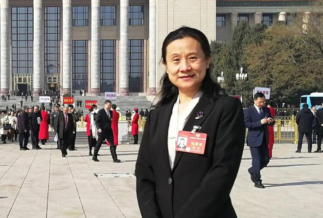 热议爆火的新质生产力如何发展