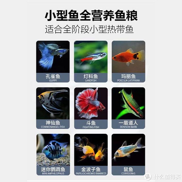 营养丰富的小鱼食值得给自己家的小鱼儿准备上了