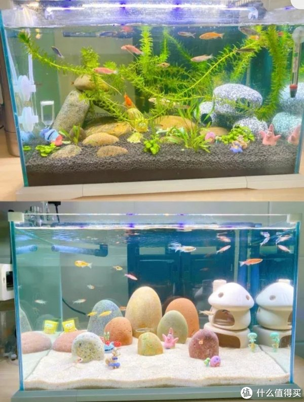 加盐两种情况,一是再有新鱼入缸的时候补充,可以预防一些疾病,提高