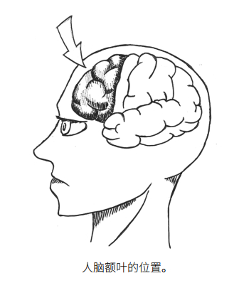 脑科学真相谁在决定你的人格