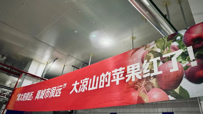 两地仓中的横幅在四川省凉山州政府党组成员,副秘书长(挂职),浙江省