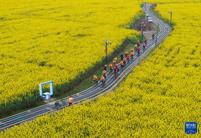四川以花为媒美丽经济助力乡村振兴