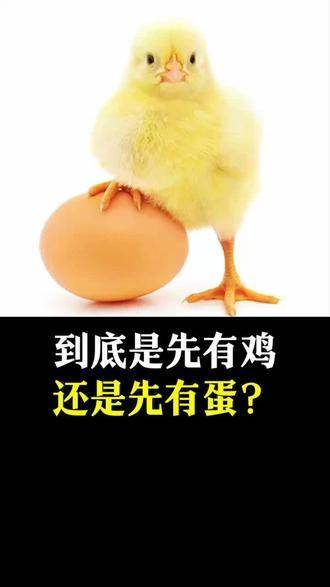到底是先有鸡还是先有蛋