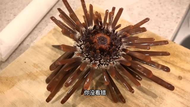刚捕捞上来的石笔海胆,从嘴巴下刀,先戳晕再撬晕厥