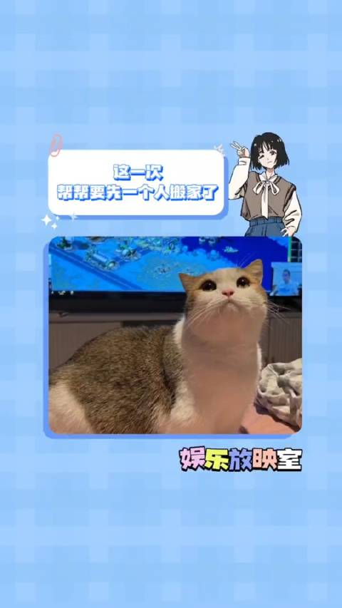 下一次我们一定要是只无病无痛健健康康的小猫帮帮kb呆又呆猫咪