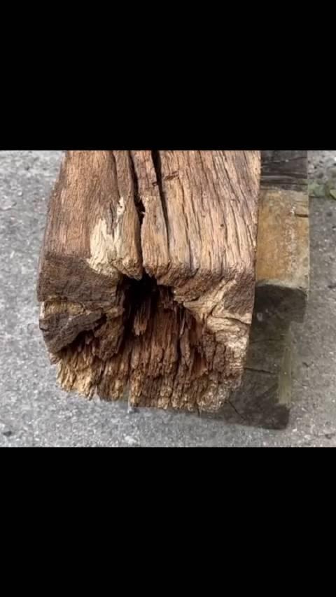 谁说朽木不可雕也用废木头做一个精美的艺术品过程很治愈