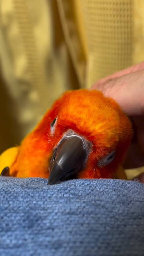 小金的午后小憩__财经头条