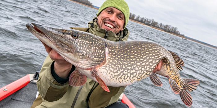 开凌梭是春鲜的先头部队|梭鱼_新浪新闻