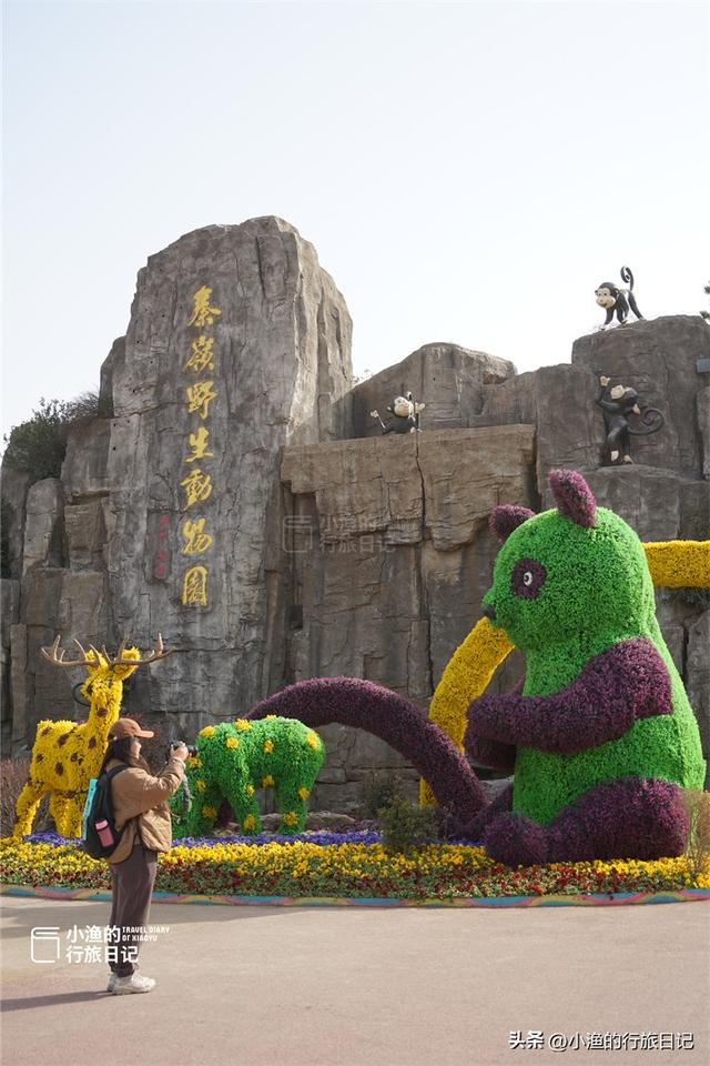 西安秦岭野生动物园半日游,全是细节,这份游玩攻略请收好|秦岭|西安市