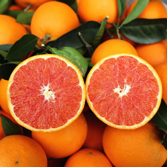晚熟60天的中华血橙终于红了!|橙子_新浪新闻