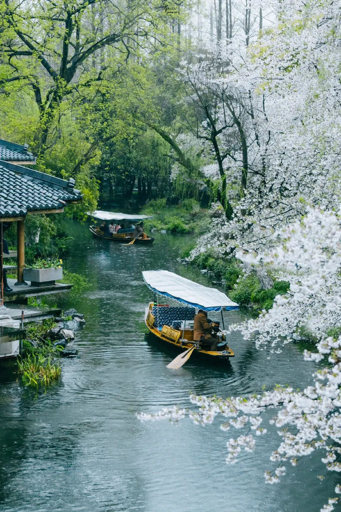 刚刚官宣杭州明日入春