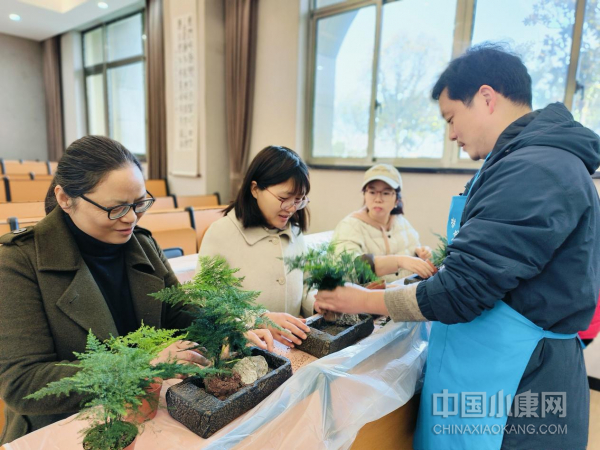 浙江金华光南小学举行"庆三八"园艺培训活动|小学|园艺|金华市_新浪