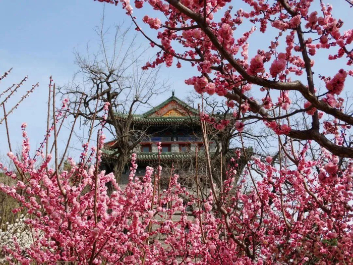 北京新闻早报2024年3月10日