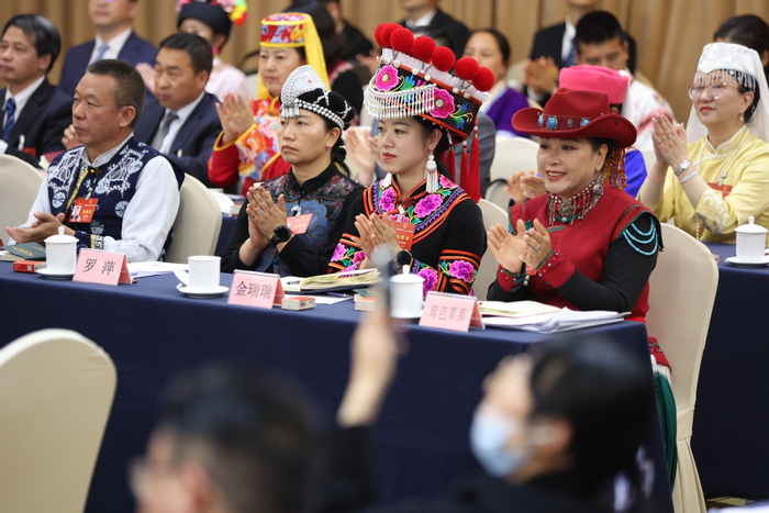 云南代表团举行开放团组会议|云南省|中国日报|全国人大代表_新浪新闻