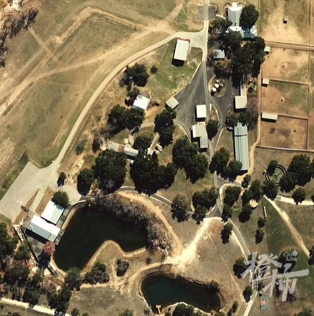 死因公布她驾驶特斯拉发生车祸