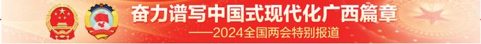 基層連線丨關於非物質文化遺產如何保護傳承活化利用代表委員建議與