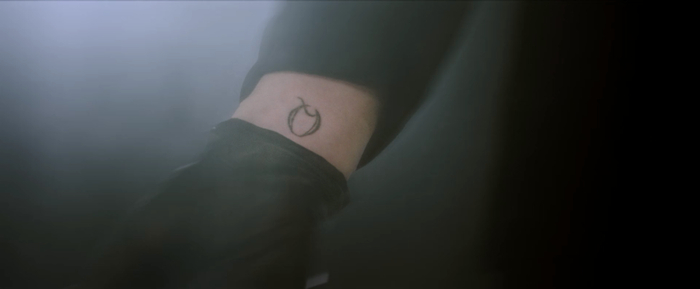 陈思诚又在玩什么把戏