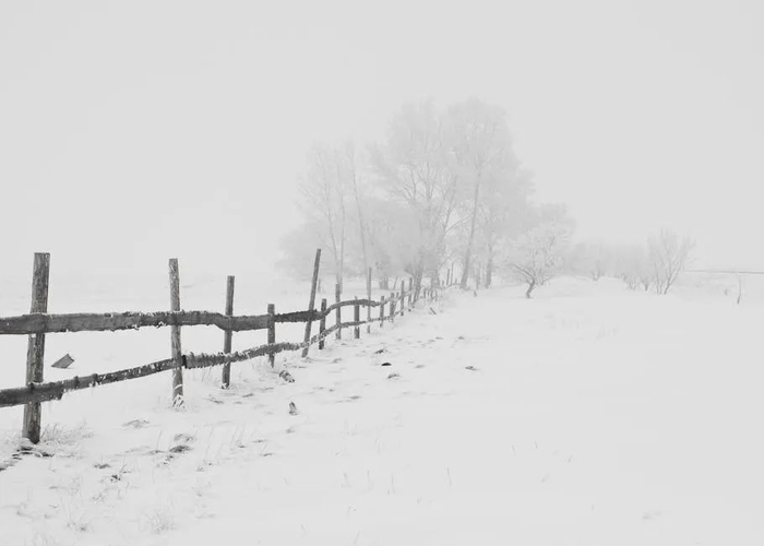 沈阳转雪时间↘|雨雪|雨夹雪|小雨_新浪新闻