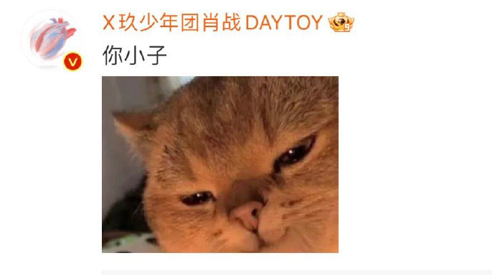 肖战,一个超爱在评论区回复表情包的顶流|肖战|表情包|评论_新浪新闻