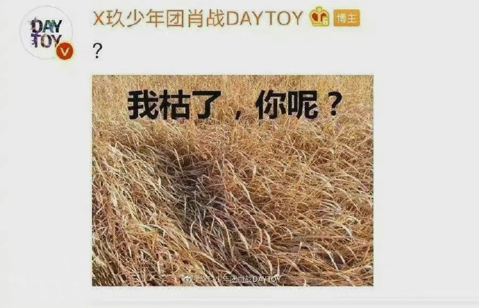 肖战,一个超爱在评论区回复表情包的顶流|肖战|表情包|评论_新浪新闻