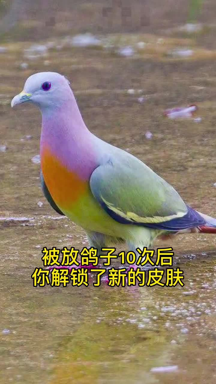 被朋友放鸽子超过十次你有机会解锁全新皮肤