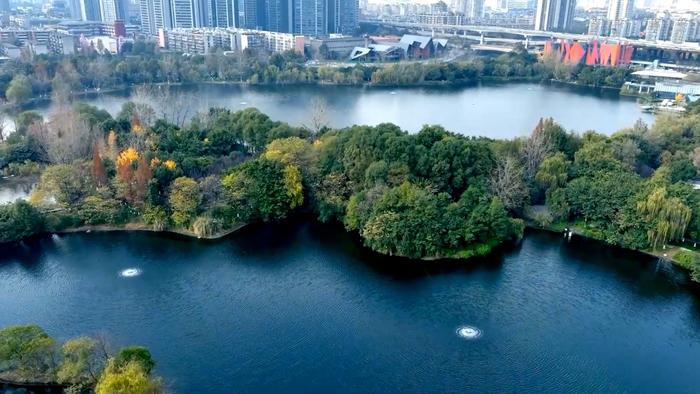 踏春而行 東湖水利風景區讓你眼前一