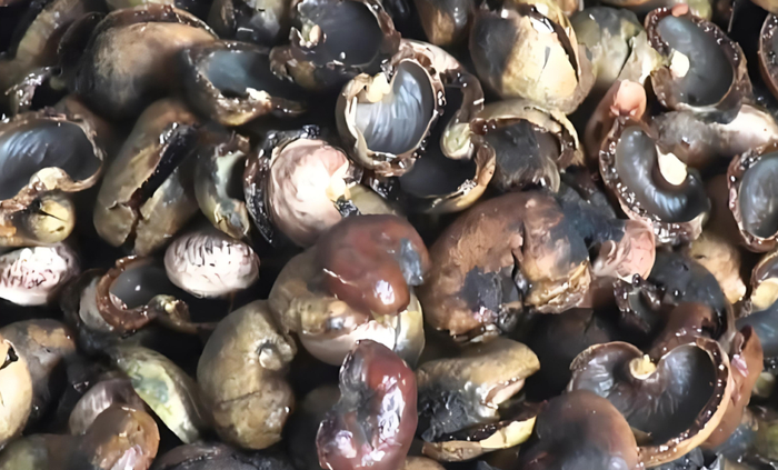 望你早点搞清楚|腰果|炭烧|营养_新浪新闻