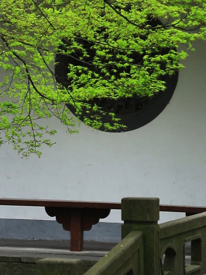 木桥,水清如镜,倒影成双,一窗一色,一步一景,所谓诗情画意,不过如此