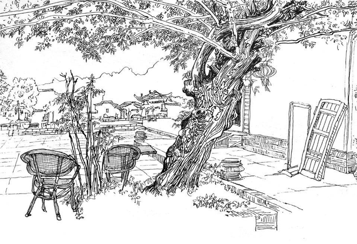 家门口的老槐树|老槐树|槐树|槐花_新浪新闻