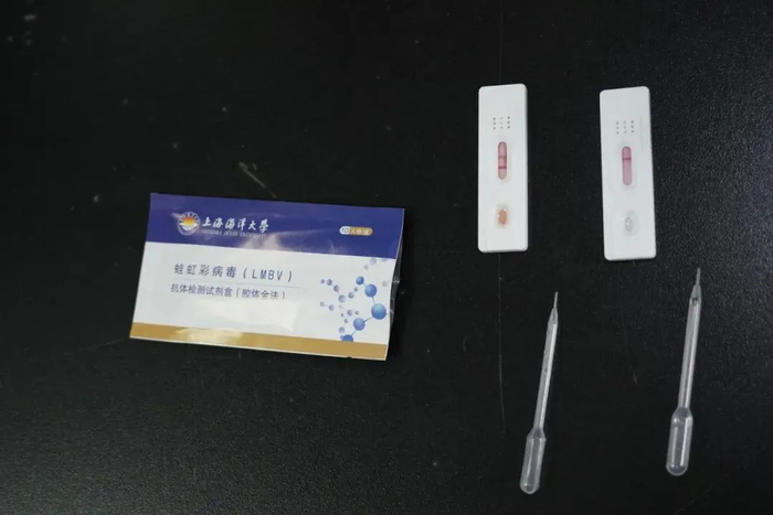 在校园里开启创业之路