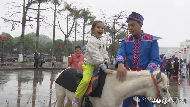 德保矮马亮相平果文化公园市民争骑马中熊猫