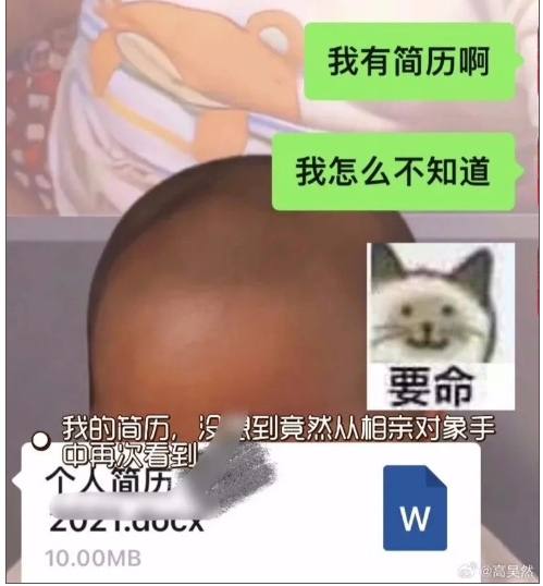 每日一笑:现在相亲直接发简历了, 竟然觉得这样很高效|蟑螂_新浪新闻