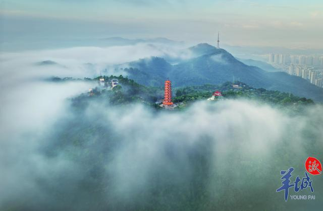 视频·大美岭南 | 江门鹤山大雁山:踏遍春山 雁影波光|鹤山|大雁山|春