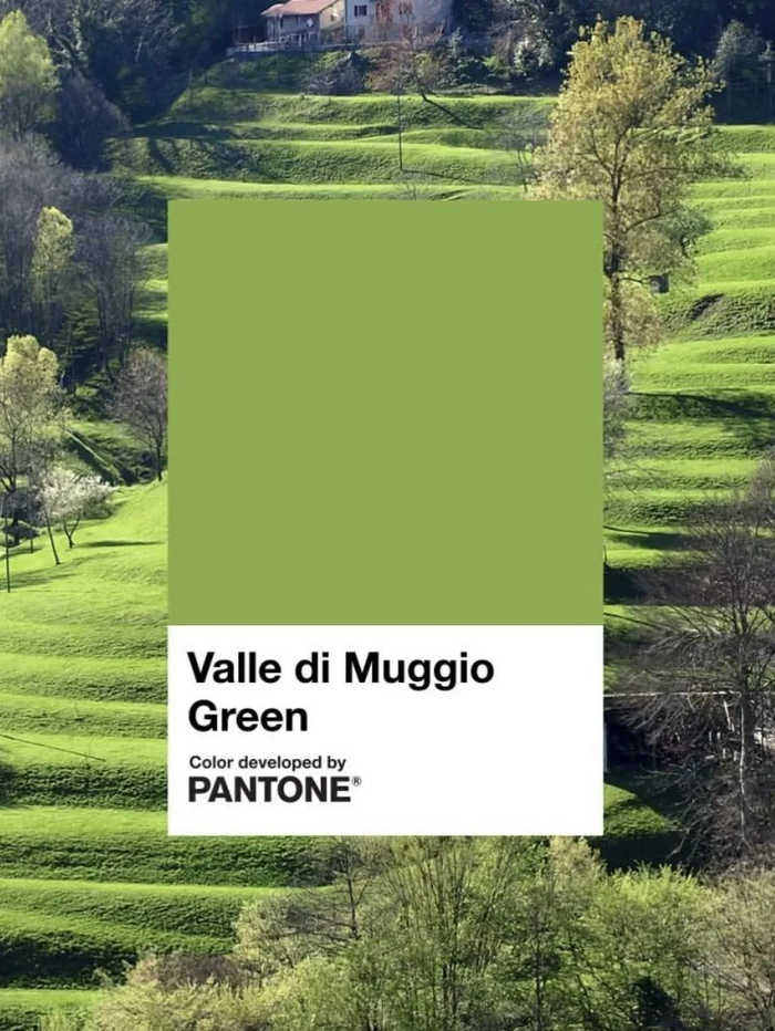 格林系接棒格雷系,穿上绿色的人先享受春天|大自然|绿色|格林_新浪