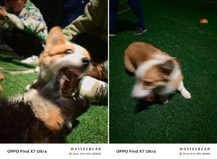 手机长焦现在发展成什么样了年度征文