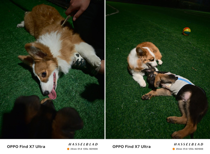 手机长焦现在发展成什么样了年度征文