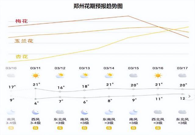 郑州街头玉兰花陆续绽放盘点热门打卡点